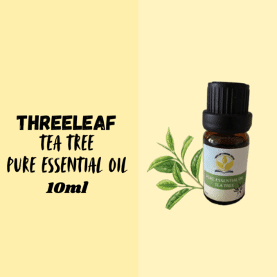 ThreeLeaf Health  Wellness Club