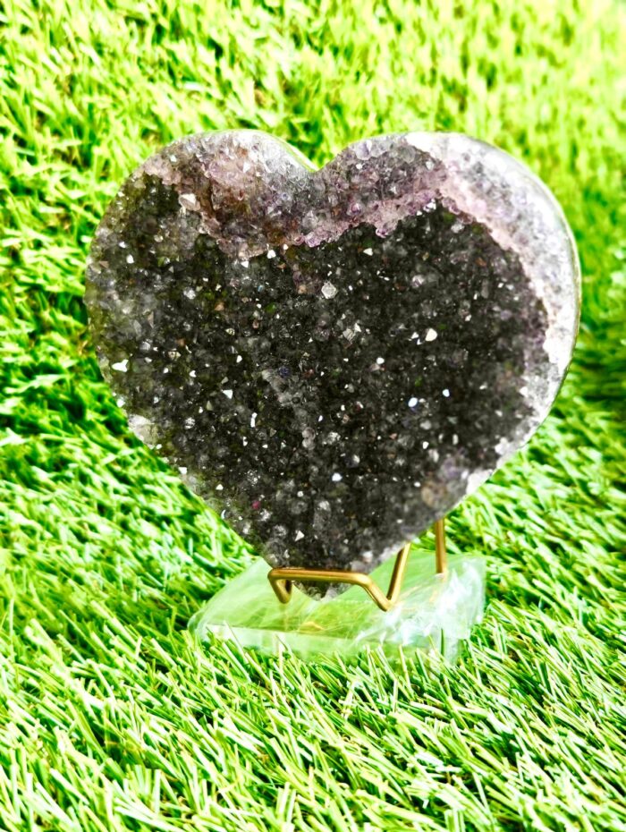  ThreeLeaf Health  Wellness Club  