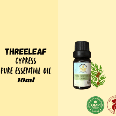 ThreeLeaf Health  Wellness Club