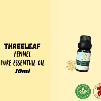 ThreeLeaf Health  Wellness Club