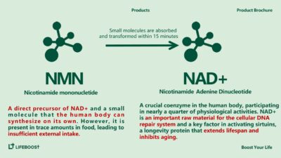 Lifeboost NMN 12000 capsules