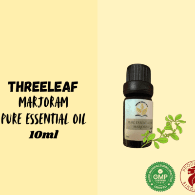 ThreeLeaf Health  Wellness Club