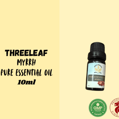 ThreeLeaf Health  Wellness Club