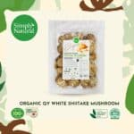 ThreeLeaf Health  Wellness Club