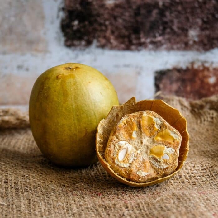  ThreeLeaf Health  Wellness Club  