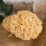 ThreeLeaf Health  Wellness Club