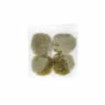 ThreeLeaf Health  Wellness Club