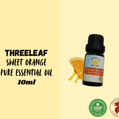 ThreeLeaf Health  Wellness Club