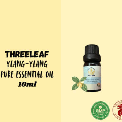 ThreeLeaf Health  Wellness Club