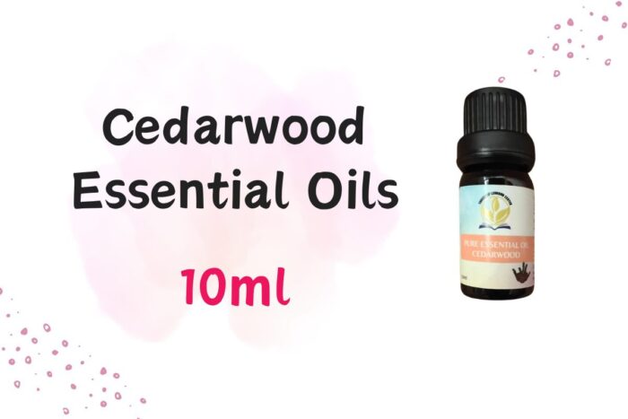  ThreeLeaf Health  Wellness Club  