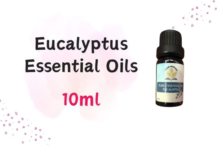 Eucalyptus1jpg  Threeleaf Health  Wellness Club    ThreeLeaf Health  Wellness Club