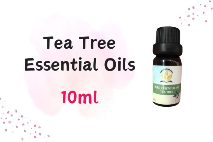 Teatree1jpg  Threeleaf Health  Wellness Club    ThreeLeaf Health  Wellness Club