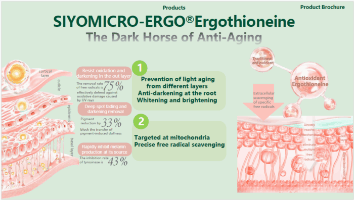  ThreeLeaf Health  Wellness Club  