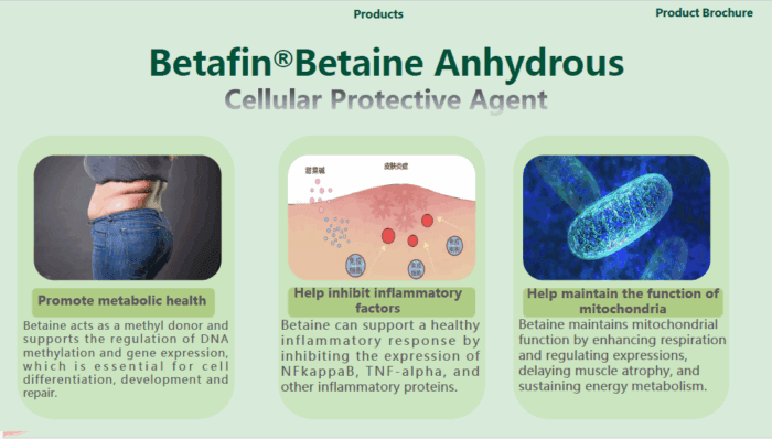  ThreeLeaf Health  Wellness Club  