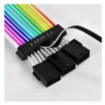  ThreeLeaf Health  Wellness Club  