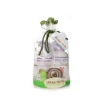  ThreeLeaf Health  Wellness Club  