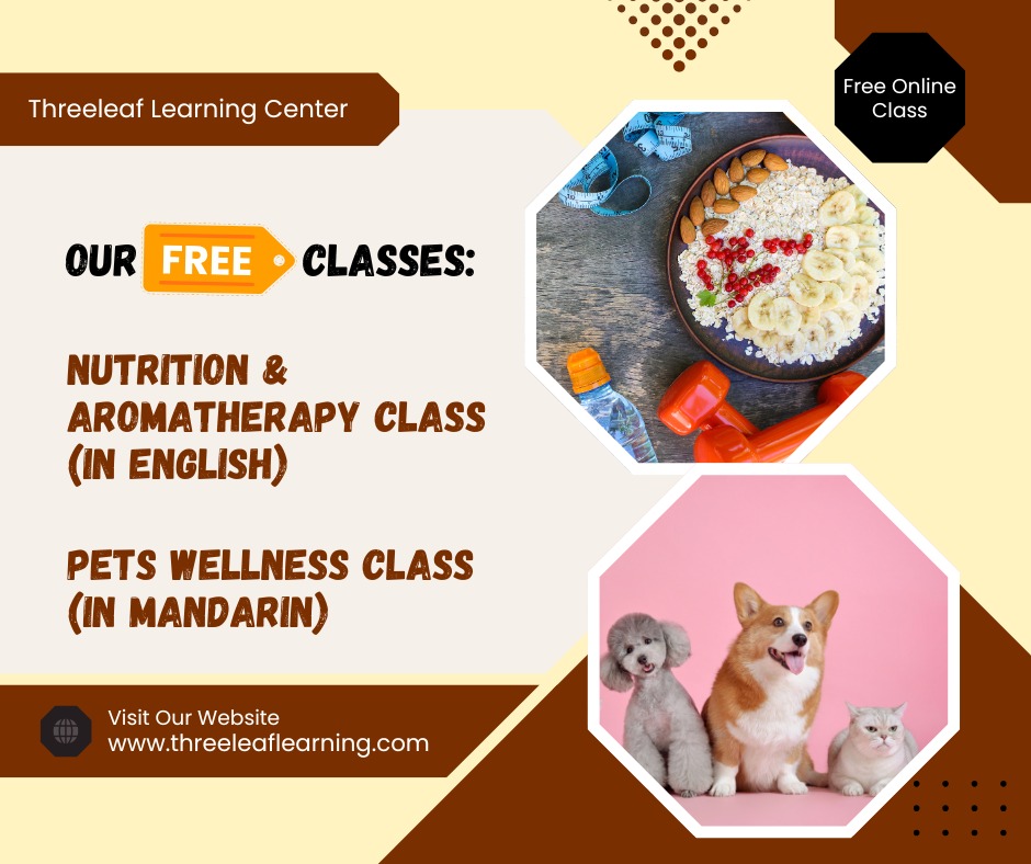  ThreeLeaf Health  Wellness Club  