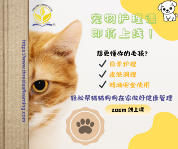 Course Coming Soon Threeleaf Health Wellness Club ThreeLeaf Health Wellness Club