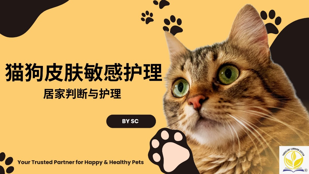  ThreeLeaf Health  Wellness Club  