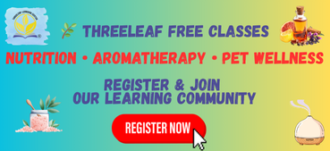 ThreeLeaf Free Classes – Mobile Banner