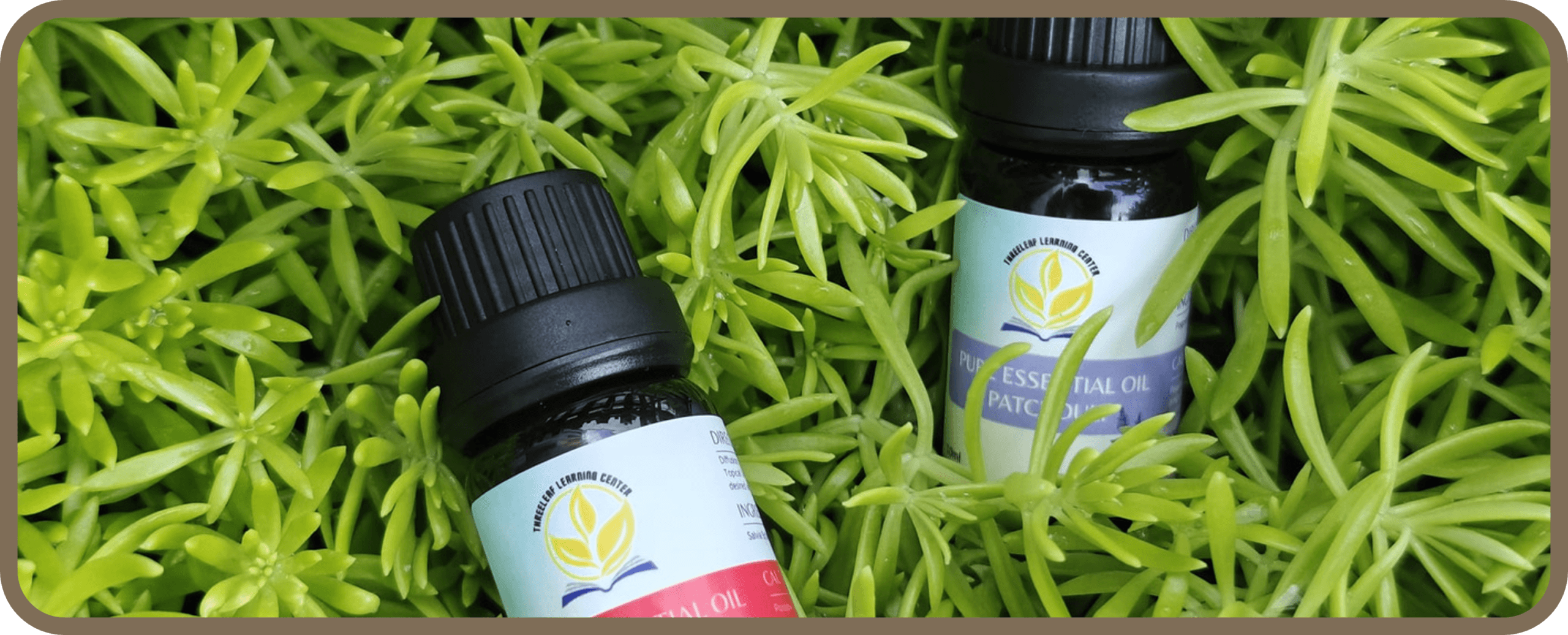 ThreeLeaf Pure Essential Oils crafted in Singapore