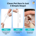  ThreeLeaf Health  Wellness Club  