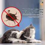  ThreeLeaf Health  Wellness Club  