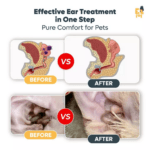  ThreeLeaf Health  Wellness Club  