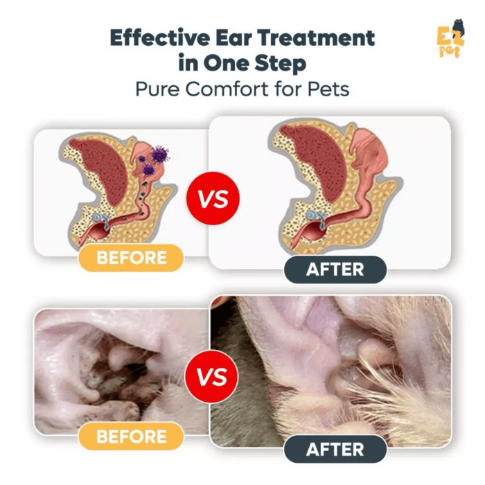  ThreeLeaf Health  Wellness Club  