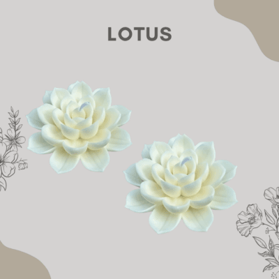 ThreeLeaf Health  Wellness Club