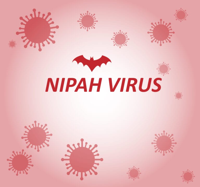 Nipah Virus Outbreak: Symptoms, Transmission, Prevention & Immune Support