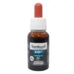  ThreeLeaf Health  Wellness Club  