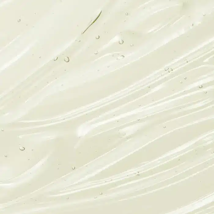  ThreeLeaf Health  Wellness Club  