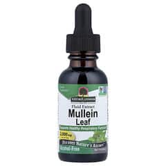 Nature's Answer Mullein Leaf Alcohol-Free Extract 30 ml front