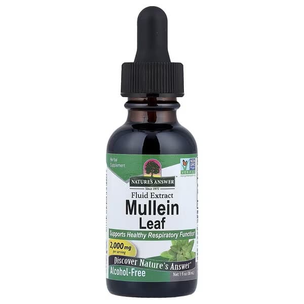 Natures Answer Mullein Leaf Extract Alcohol Free 30 Ml - Threeleaf Health & Wellness Club