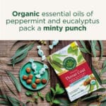 32917007018 - Traditional Medicinals Organic Throat Coat Drops, Eucalyptus Mint, 16 Drops - gallery image 4