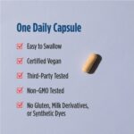 768990015311 - Nordic Naturals Vitamin B Complex, 45 caps - gallery image 6