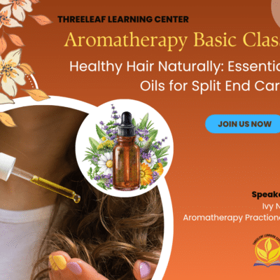 Essential Oils for Split End Care - Single Lesson