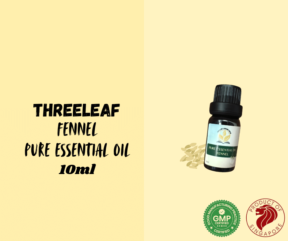 Threeleaf - Fennel Pure Essential Oil 10ml - Threeleaf Wellness Club