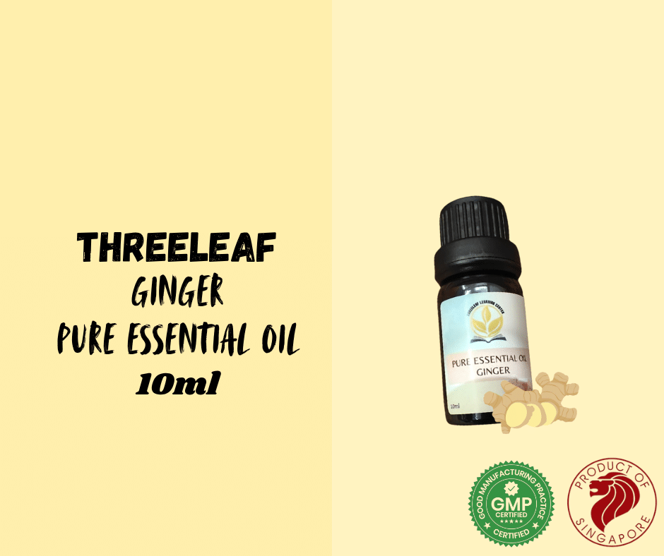 Threeleaf - Ginger Pure Essential Oil 10ml - Threeleaf Wellness Club