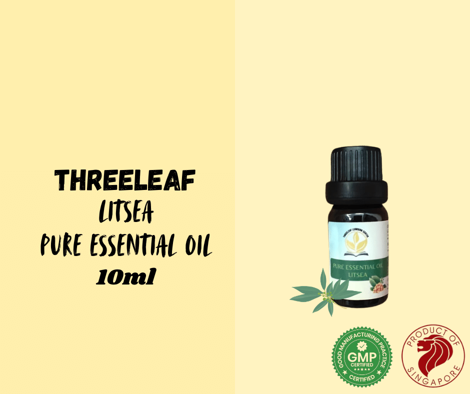 Threeleaf - Litsea Pure Essential Oil 10ml - Threeleaf Wellness Club