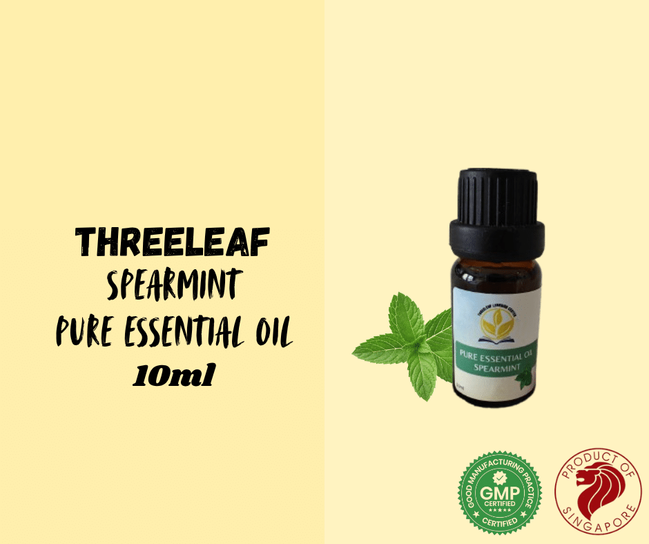 Threeleaf - Spearmint Pure Essential Oil 10ml - Threeleaf Wellness Club