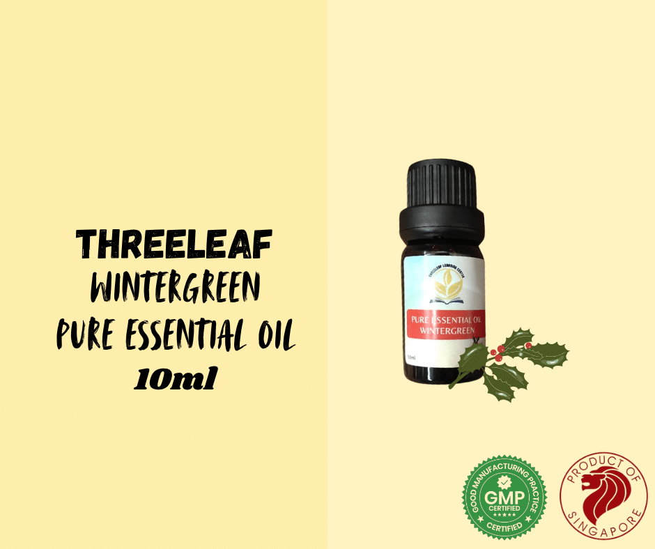 Threeleaf - Wintergreen Pure Essential Oil 10ml - Threeleaf Wellness Club