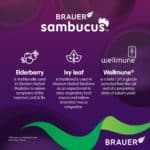 Brauer Cold and Flu Forte Kids ingredient information