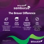 Brauer Cold and Flu Forte Kids manufacturer formula information